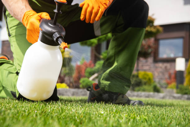 Best Affordable Pest Control Services  in Kingston Estates, NJ