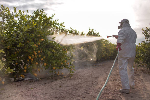 Professional Pest Control in Kingston Estates, NJ